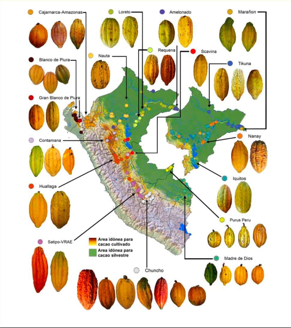 Captura de Pantalla 2024-11-25 a las 8.19.29